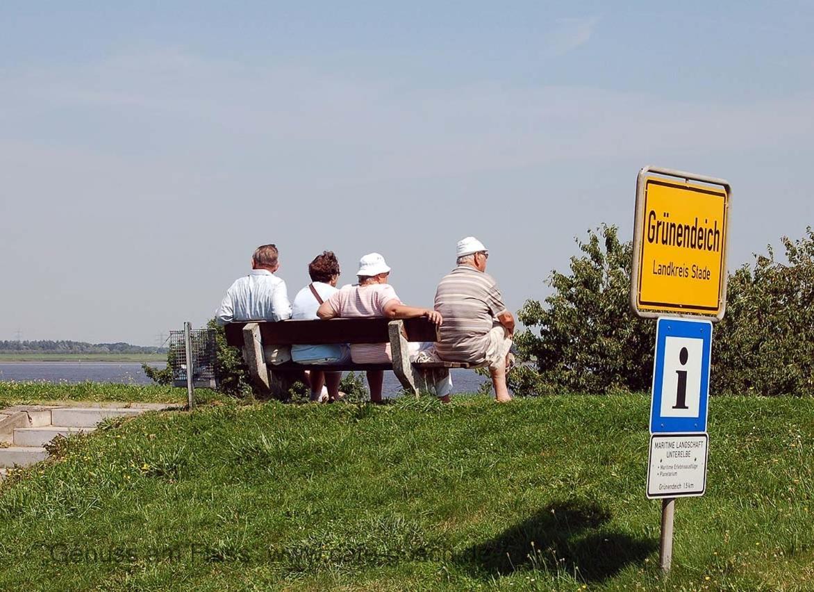 Fewo Blankenese Im Haus Luehegarten Gruenendeich Ngoại thất bức ảnh